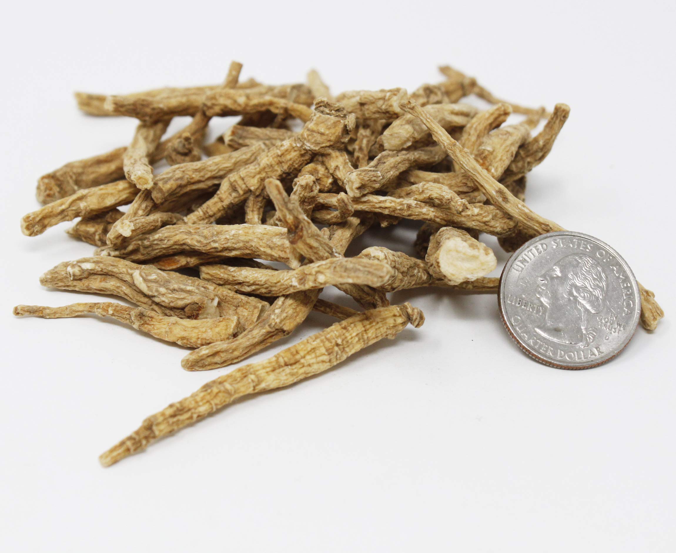 DABC OAK LAND Wisconsin branch root slices in a 4oz bag