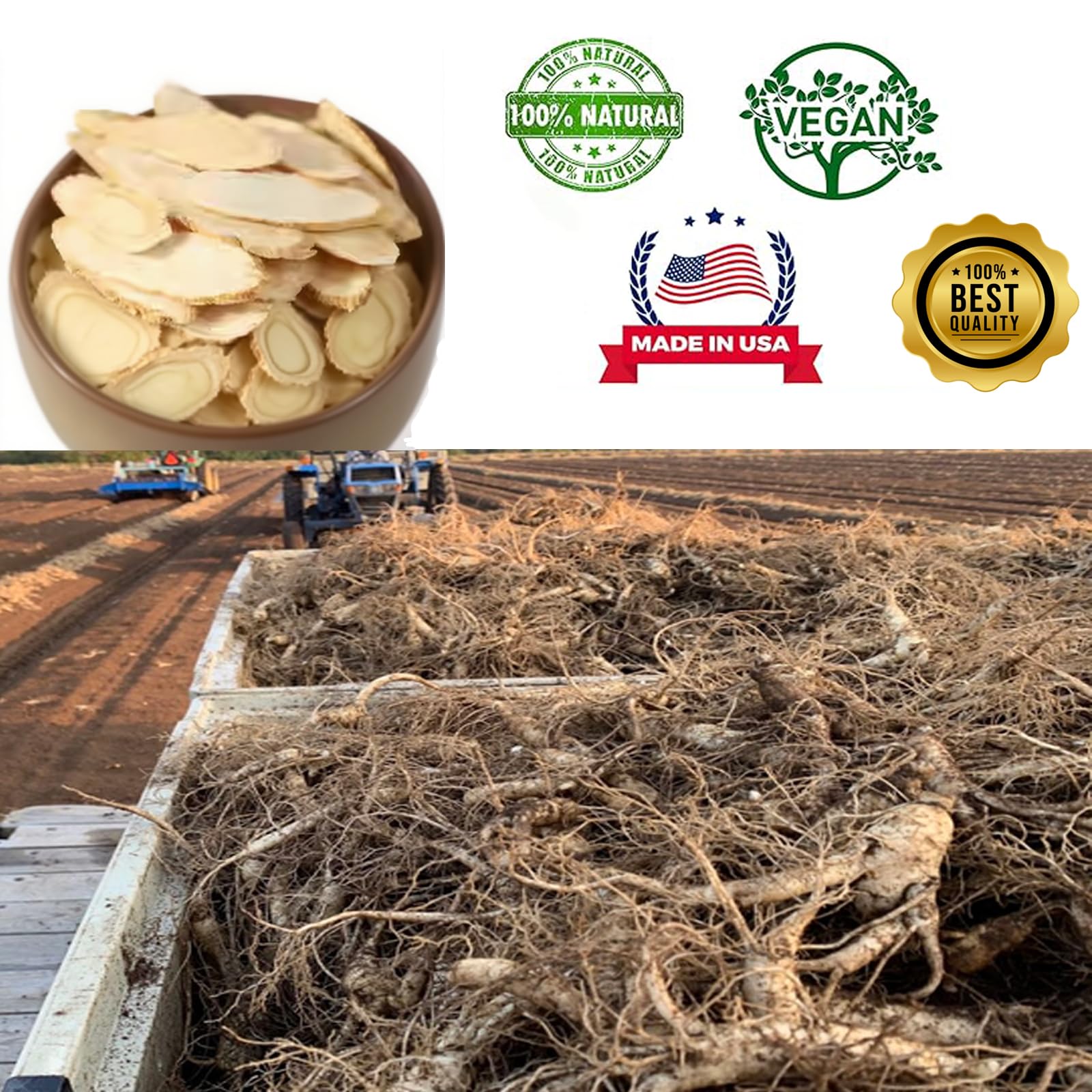 DABC OAK LAND Wisconsin ginseng slices brew—easy to steep for focused moments.