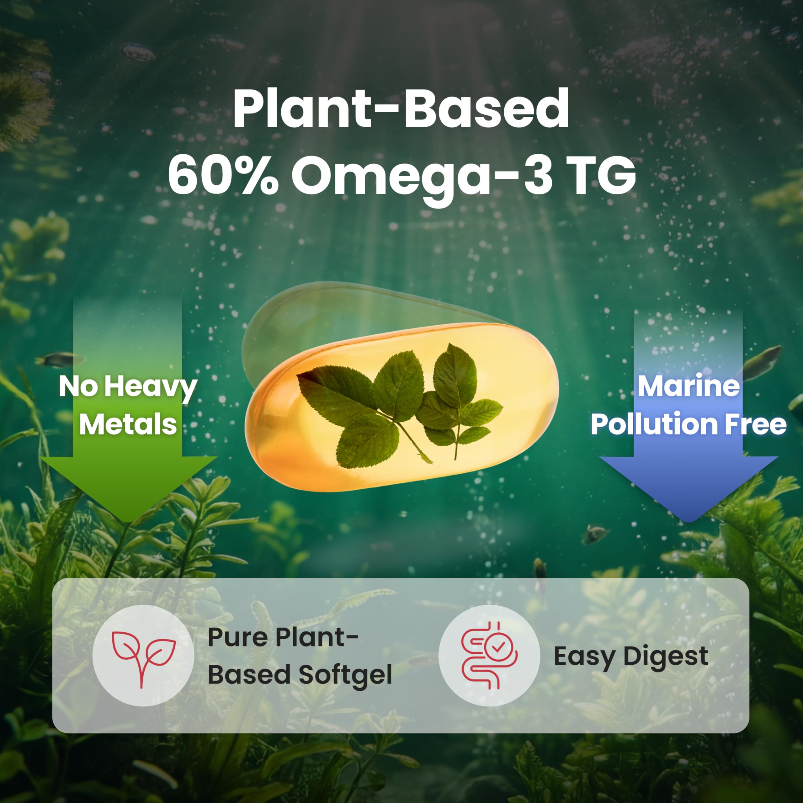 Softgel close-up showcasing 1020 mg dose per capsule.