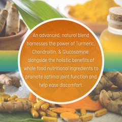 Daily Health FlexProtex D ingredient panel highlights natural components for joint health.