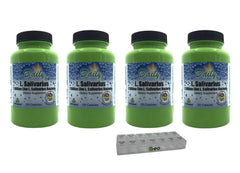Daily Manufacturing L-Salivarius capsules close-up showing delayed-release coating