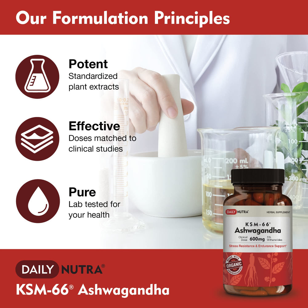 DailyNutra KSM-66 Ashwagandha gluten-free vegan stamp supports clean dietary fit.
