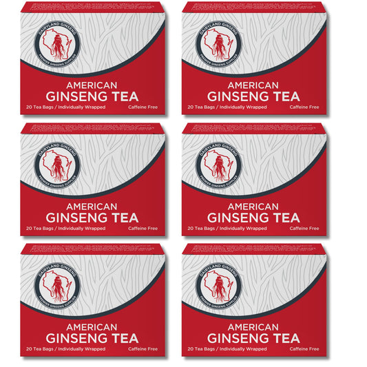 Dairyland American Ginseng Tea Bags six-pack ready for a gentle energy lift.