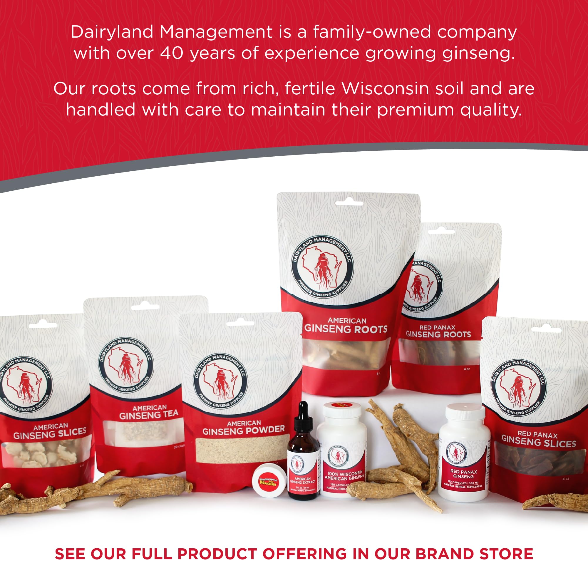 Dairyland ginseng powder supports a mindful morning routine