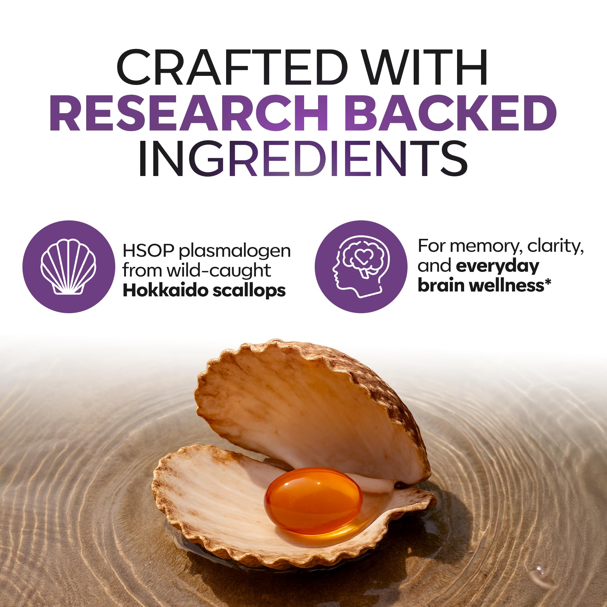 Daiwa Advanced Omega-3 Hokkaido Scallop Oil highlights HSOP-derived phospholipids