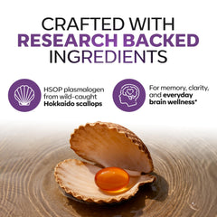Daiwa Advanced Omega-3 Hokkaido Scallop Oil highlights HSOP-derived phospholipids