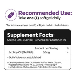 Daiwa Advanced Omega-3 lifestyle image suggests memory and focus support throughout the day