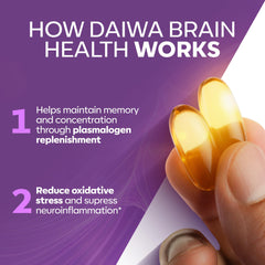 Daiwa Advanced Omega-3 Plasmalogen formula promotes brain-targeted support in a compact capsule