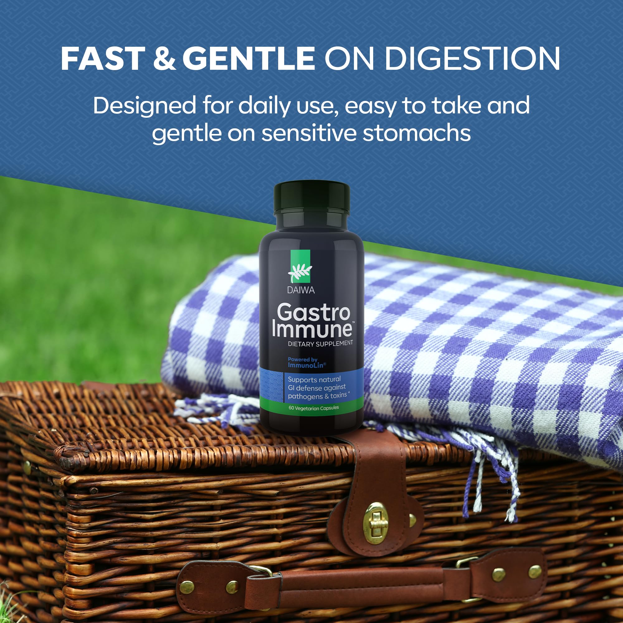 Daiwa GastroImmune daily-use setup demonstrates two capsules per day routine.