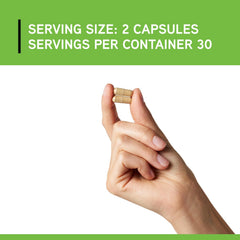 DAVINCI Adipo-Leptin visual with brown seaweed extract, metabolism support