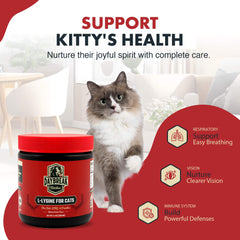 Daybreak Lysine for Cats bottle label highlighting 900 mg per scoop formula