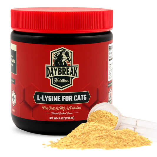 Daybreak Lysine for Cats powder scoop with daily serving for immune and respiratory support