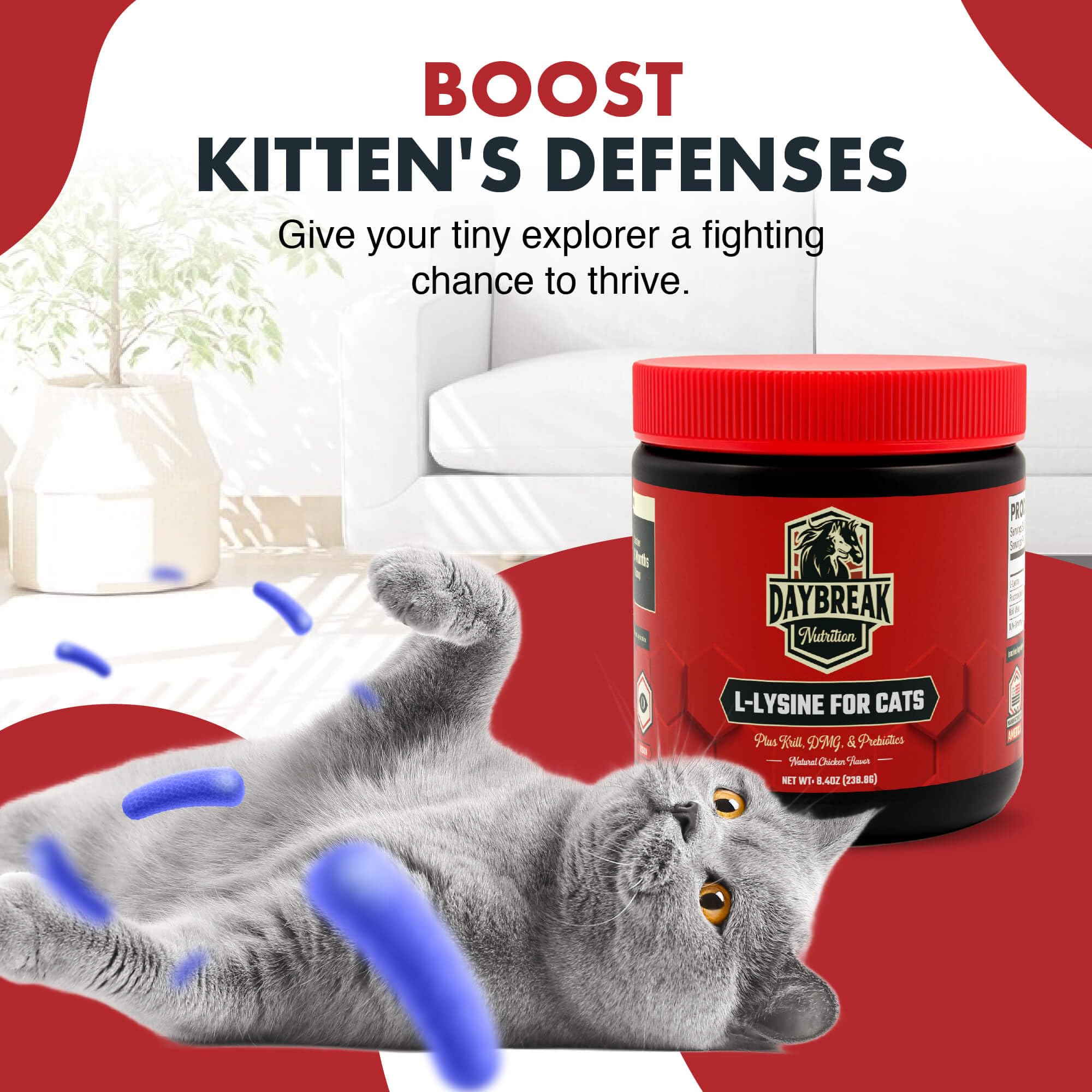 Daybreak Lysine cats prebiotics visual emphasizes gut-friendly ingredients