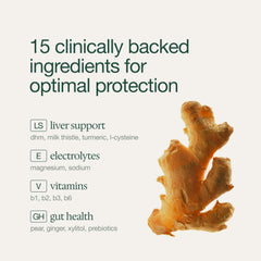 DayGuard ingredients close-up with milk thistle, turmeric, and ginger.