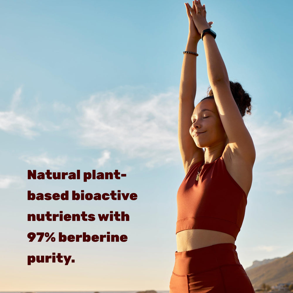 DEAL SUPPLEMENT Berberine Max turmeric extract note highlighting 20:1 potency