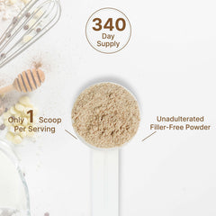Deal Supplement organic mushroom powder mix-in smoothie cup shows versatile wellness routine.
