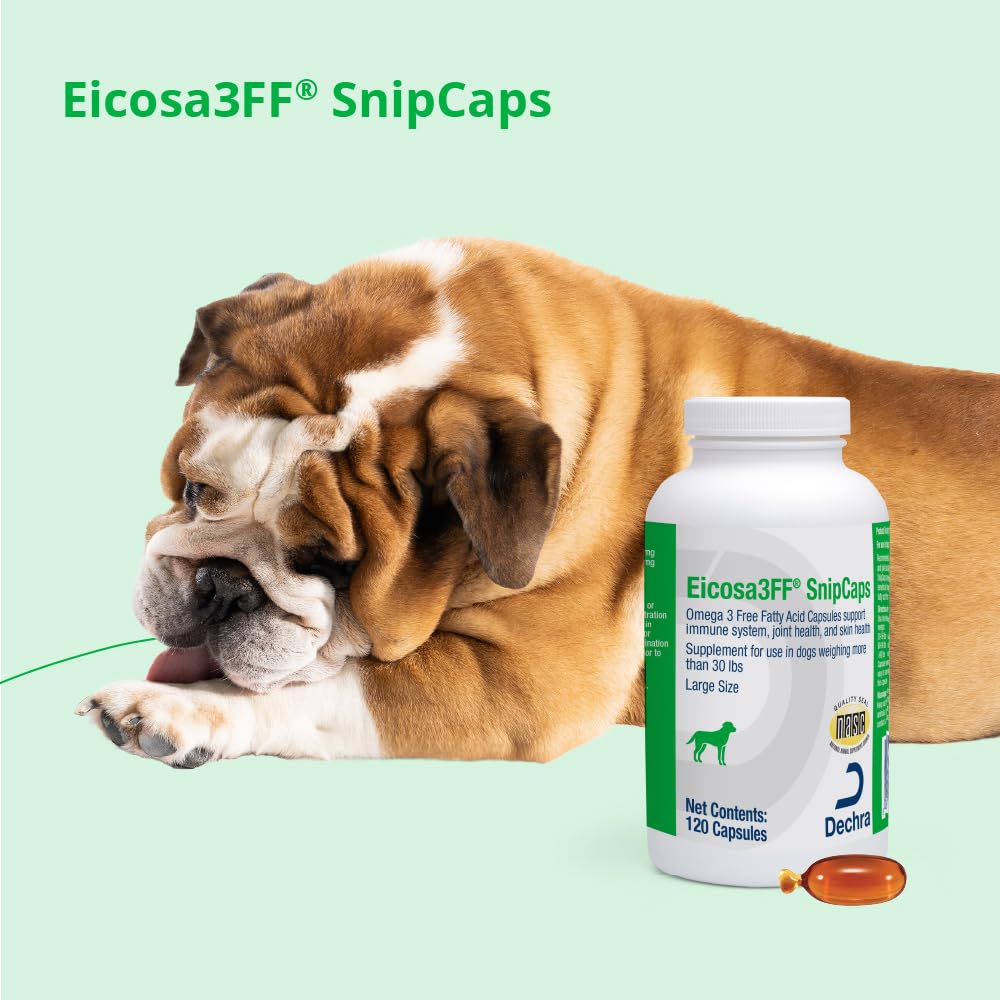 Dechra Eicosa3FF SnipCaps 120-count package for long-term canine supplementation.
