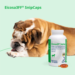 Dechra Eicosa3FF SnipCaps 120-count package for long-term canine supplementation.