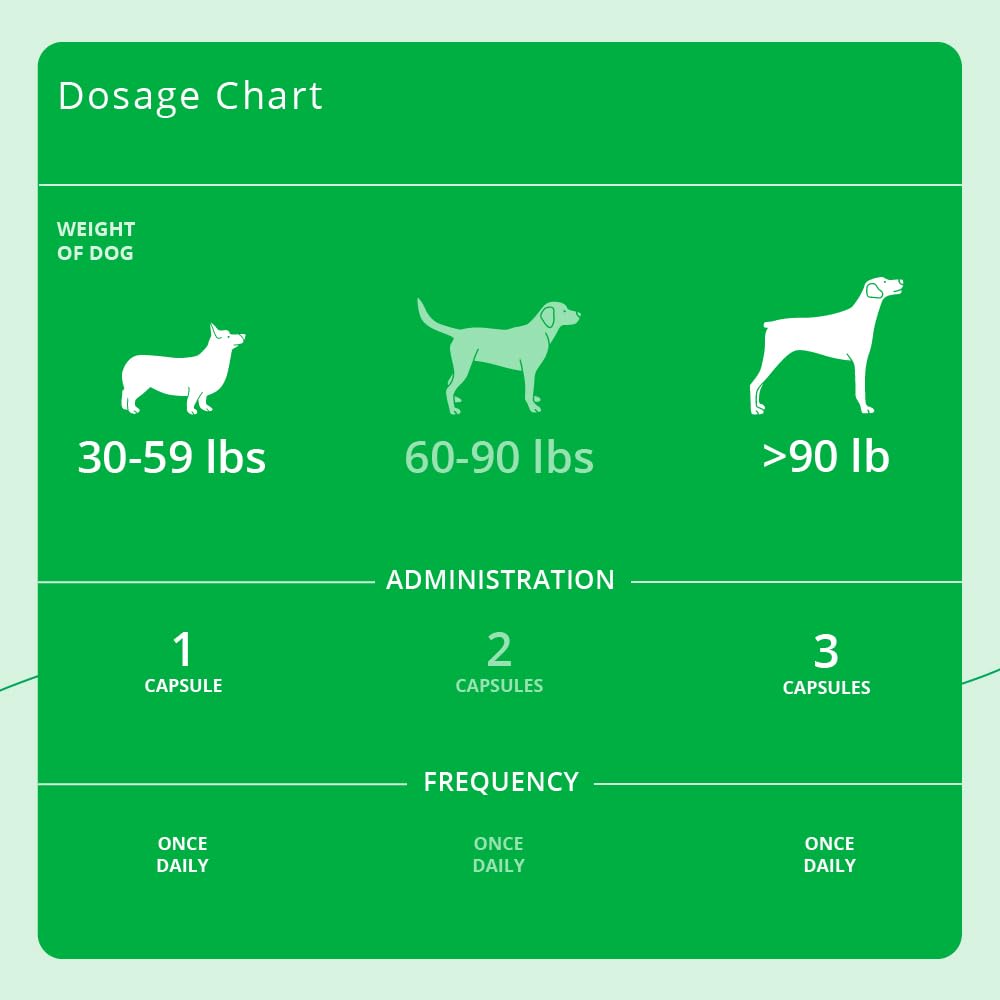 Dechra Eicosa3FF SnipCaps for a dog with healthy-looking skin and coat.