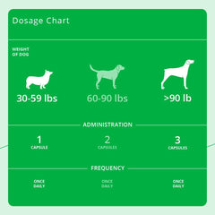 Dechra Eicosa3FF SnipCaps for a dog with healthy-looking skin and coat.