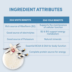 Designer Wellness Designer Egg ingredients highlight clean, gluten-free formula