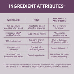 Designer Wellness Designer Whey amino acids and enzymes blend for efficient absorption