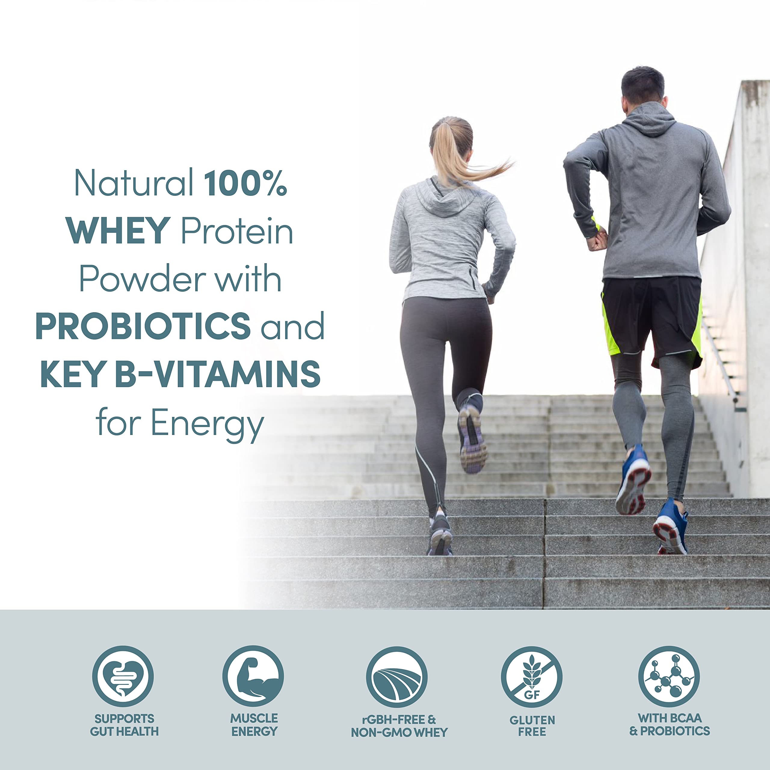 Designer Wellness Designer Whey with probiotics and fiber — Digestive-friendly protein option