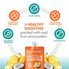 Designer Wellness Protein Smoothie low carb formula for balanced energy