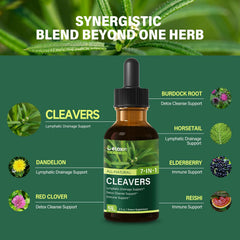 DetoxenNATURE Cleavers Drops dropper highlighting precise dosing for convenience