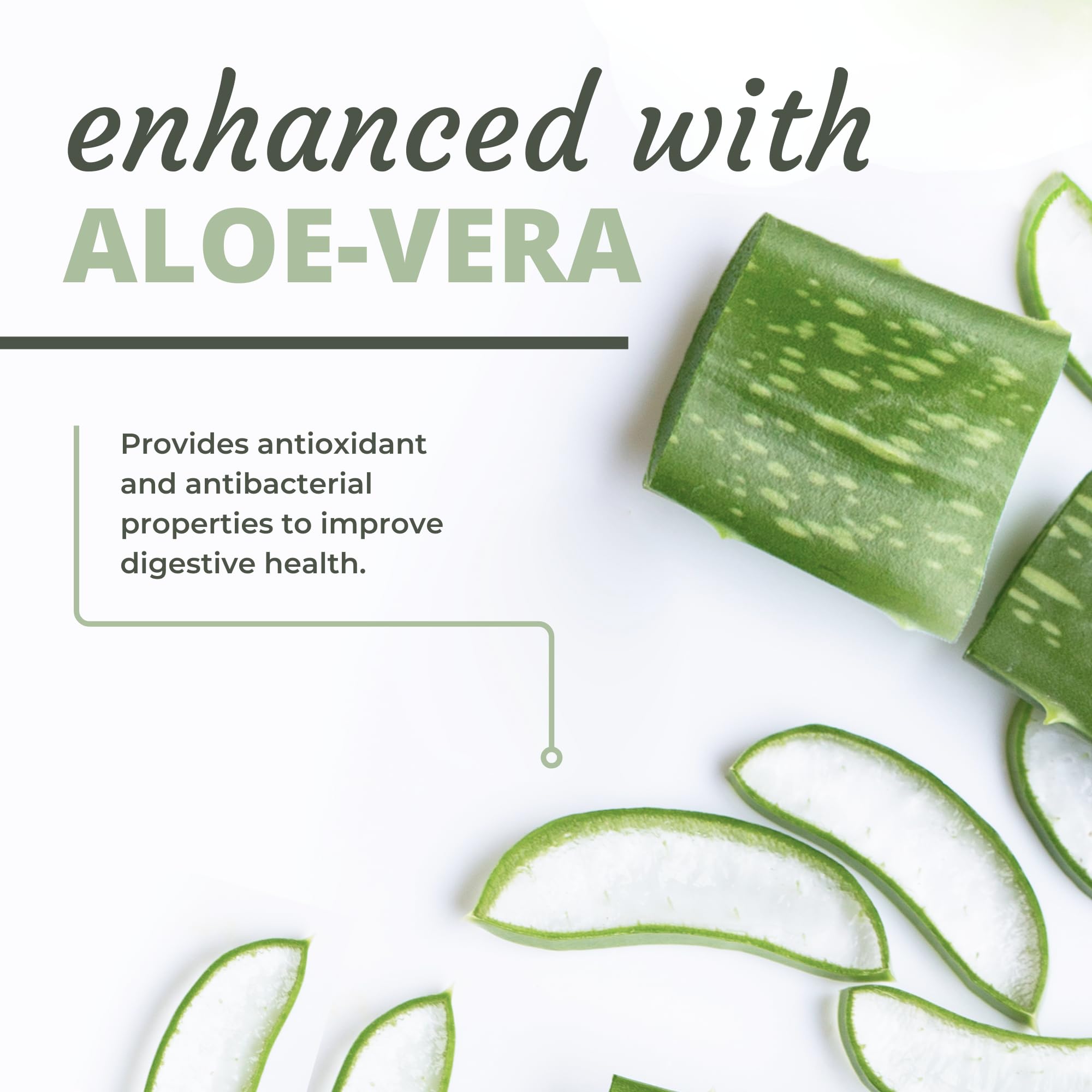 Digest-A-Meal infographic-style illustration of improved digestion benefits.
