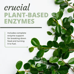 Digest-A-Meal ingredients highlight probiotic enzymes for gut health.