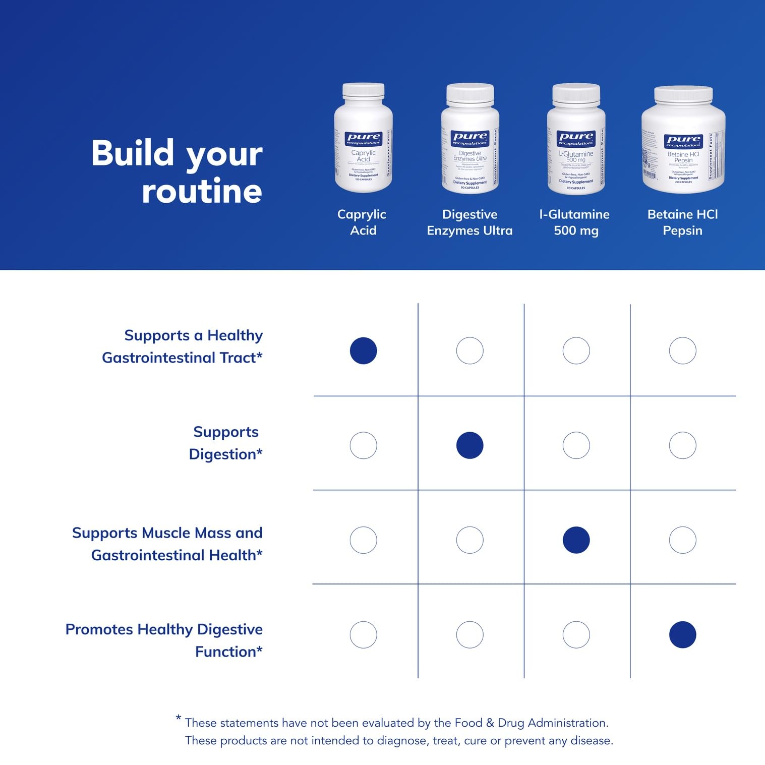 Digestive balance lifestyle scene featuring Caprylic Acid for daily wellness.