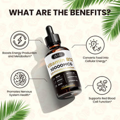 Dilib B12 supplement label close-up conveys premium bioactive blend