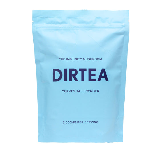 DIRTEA Turkey Tail powder in a jar supports immune system and gut health.