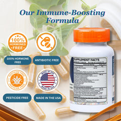 Dislafarm Transfer Factor capsules pack on display for daily immune balance.