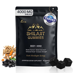DLNIA 13-in-1 Shilajit Gummies bottle pour supports daily energy and routine.