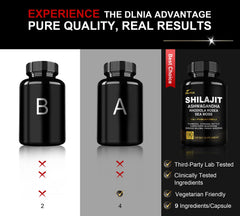 DLNIA Shilajit ingredient deck showing multi-mineral blend for vitality.