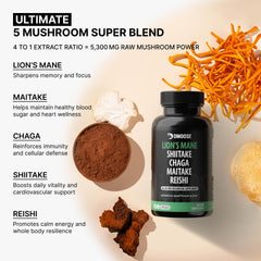 DMoose Fitness Sustained energy capsules imply steady daytime vitality