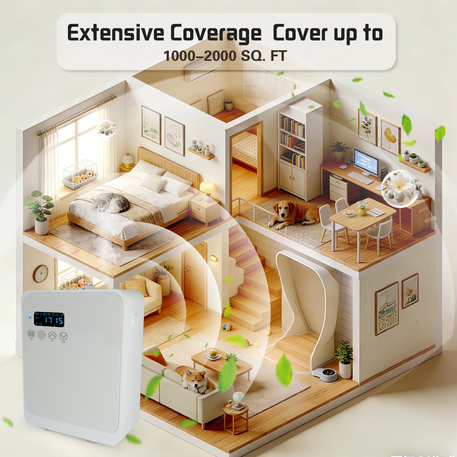 DMPWNEBL wall-mount or desktop placement fits any decor