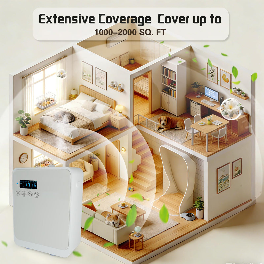 DMPWNEBL wall-mount or desktop placement fits any decor