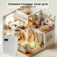 DMPWNEBL wall-mount or desktop placement fits any decor