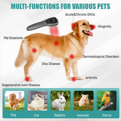 Dmzosmd stand enables hands-free therapy sessions for pets and owners.