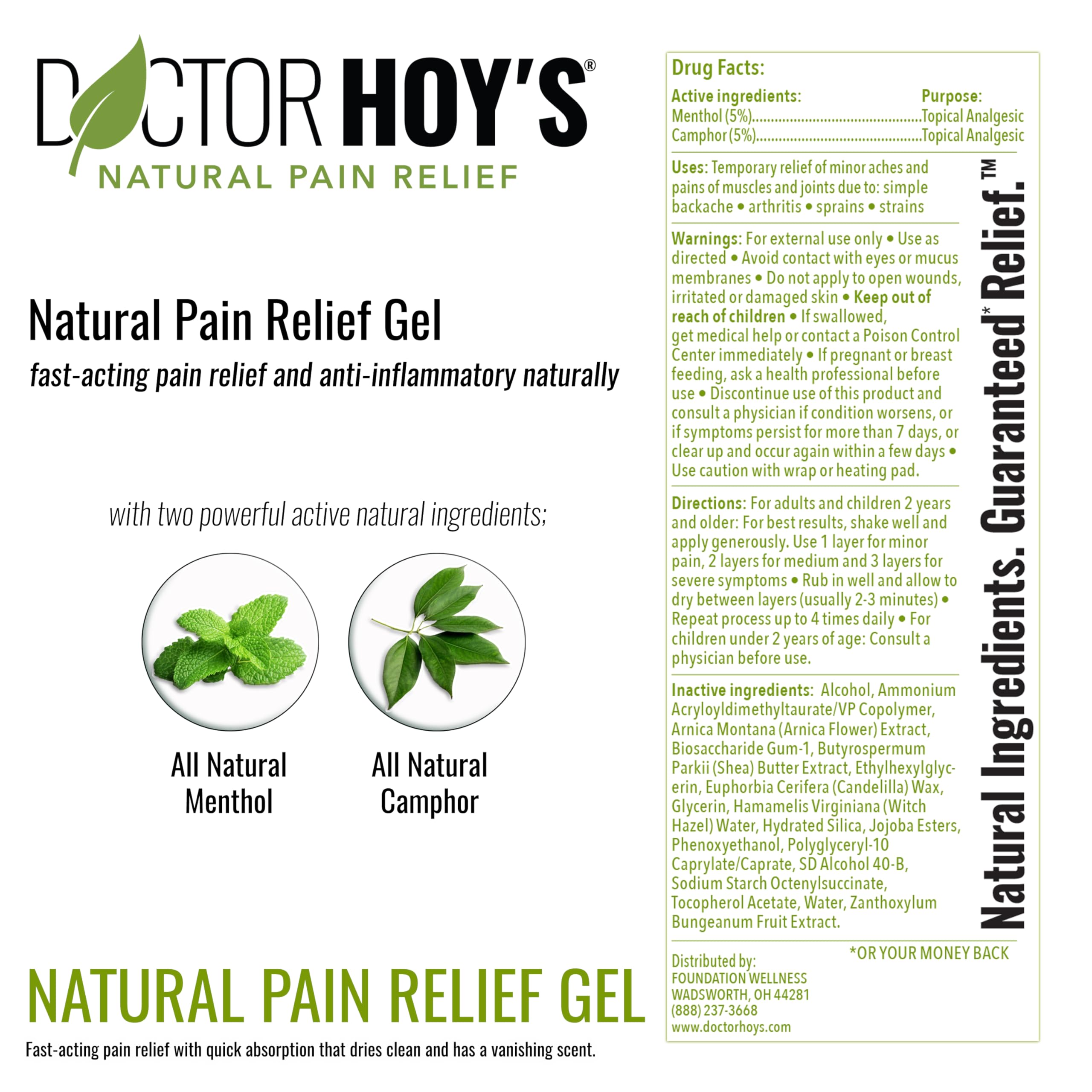 DOCTOR HOY'S Arnica plant illustration highlights natural anti-inflammatory benefits