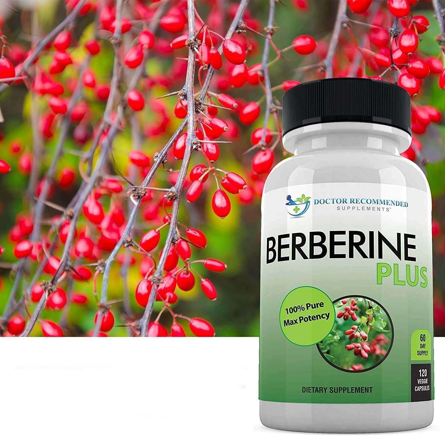 Third-party tested seal on Berberine Plus bottle for quality assurance