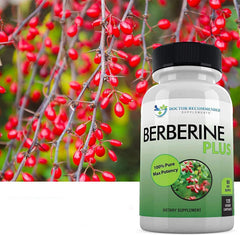 Third-party tested seal on Berberine Plus bottle for quality assurance