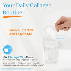 Doctor's Best hydrolyzed collagen types 1 and 3 label highlights skin-supporting ingredients.