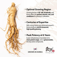Dongjieum Korean Red Ginseng capsules closeup reveal premium powder used in vegan formula.