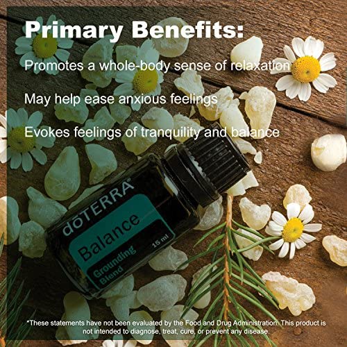 doTERRA Balance diffuser drops create a tranquil car environment.
