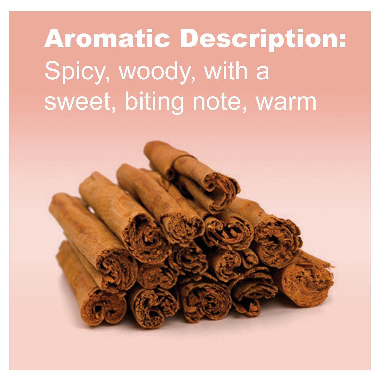 DoTERRA Cinnamon Oil in diffuser for warm aroma