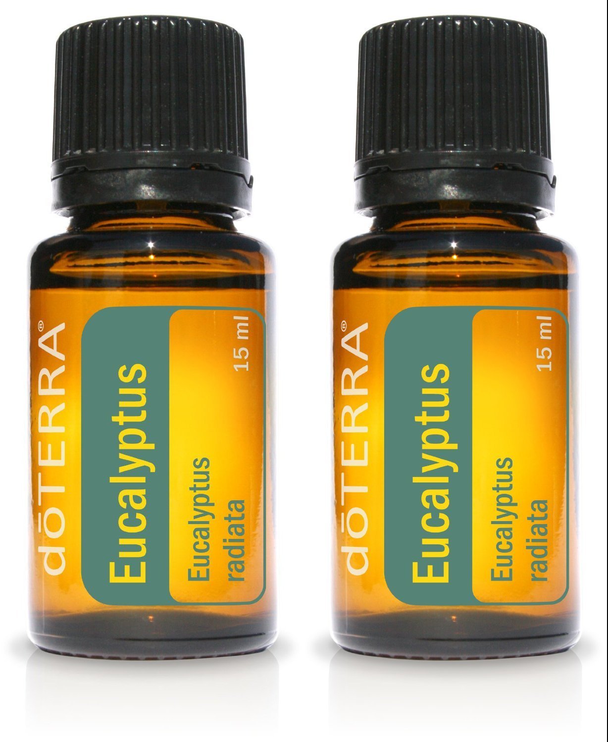 doTERRA Eucalyptus Radiata bottle close-up promoting clear breathing.